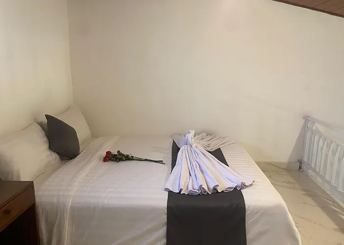 Guest house Misi 4*