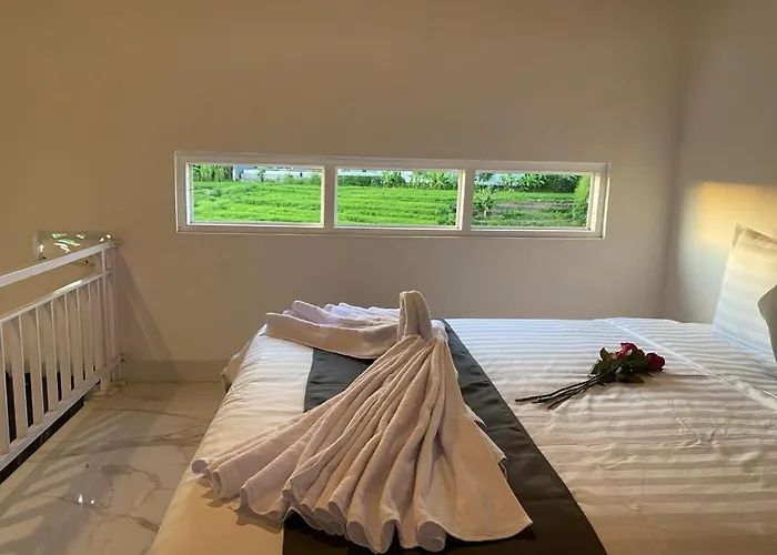 Guest house Misi 4*